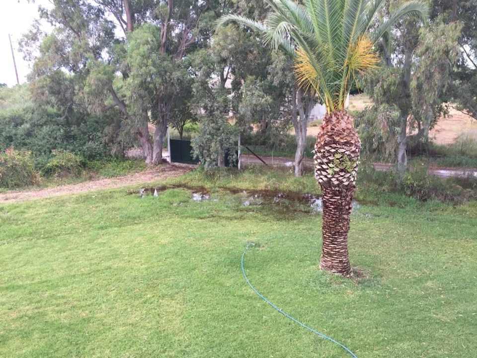 Mosquitobrutstätte Sandy Beach Resort