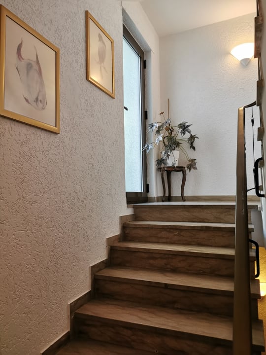 Sonstiges Hotel zu den Burgen