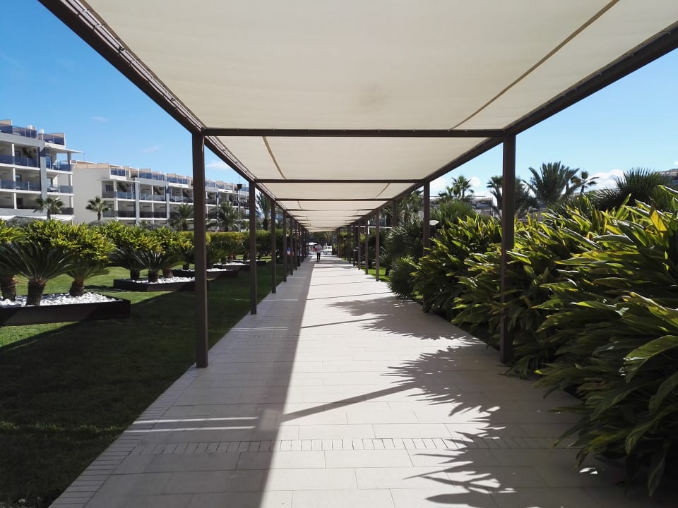 Außenansicht Zafiro Palace Alcudia