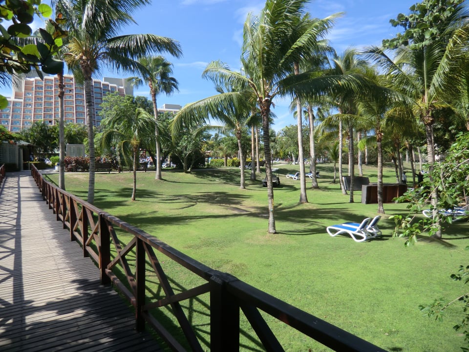 Garten Blau varadero - Adults only