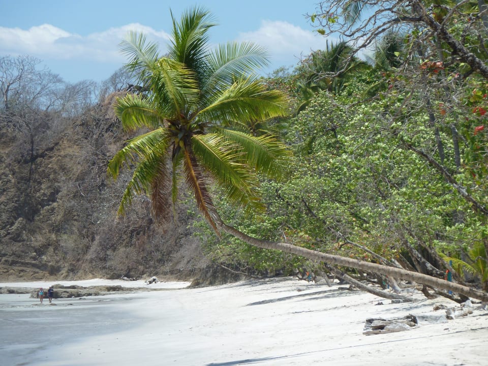 Barcadifeeling... Hotel & Club Punta Leona