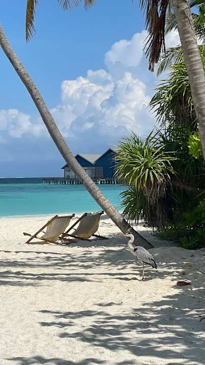 Strand The Standard Maldives