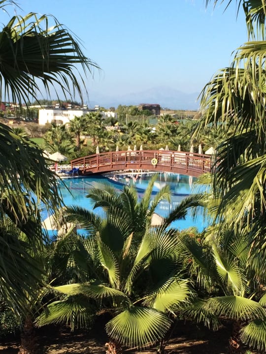 Alles gepflegt Seaden Sea World Resort & Spa