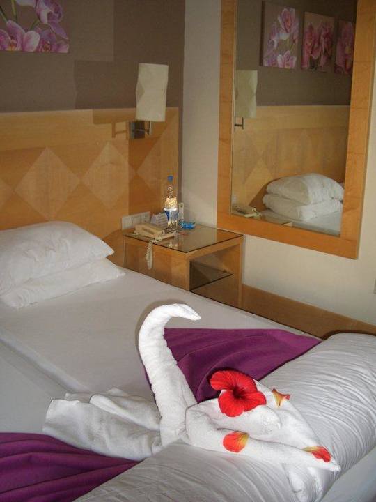 Der Schwan und das Herz Sealife Buket Resort & Beach