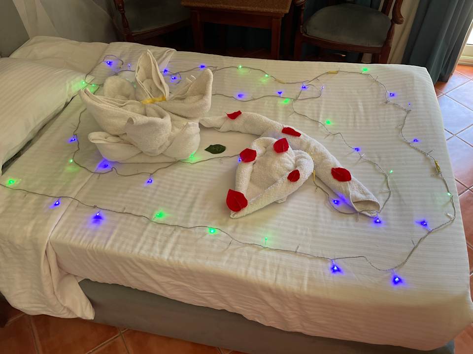 Zimmer Three Corners Sea Beach Resort