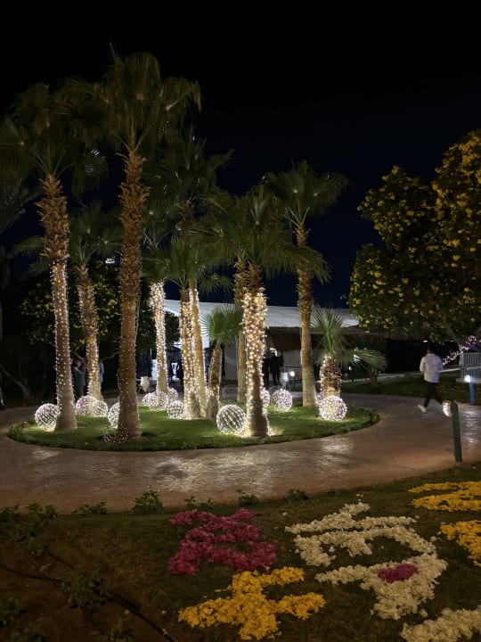 Gartenanlage Desert Rose