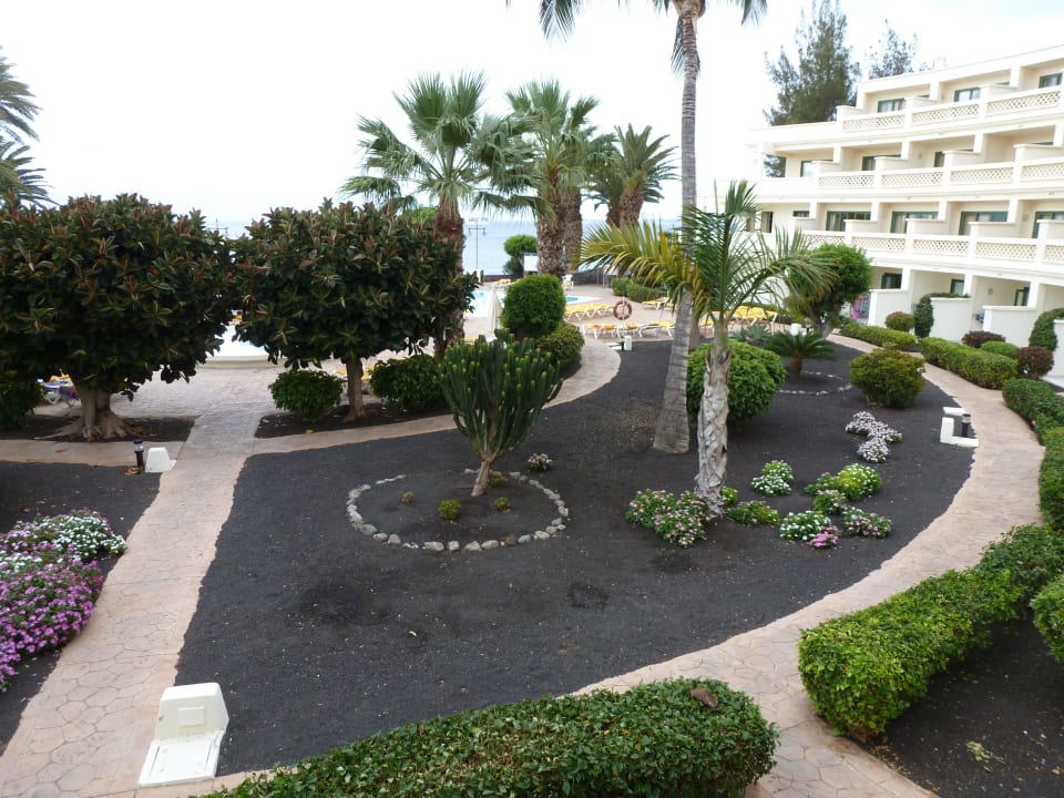 Ogród Iberostar Selection Lanzarote Park