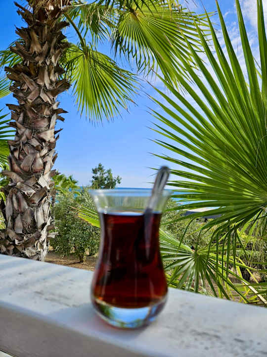 Ausblick Alba Resort Hotel