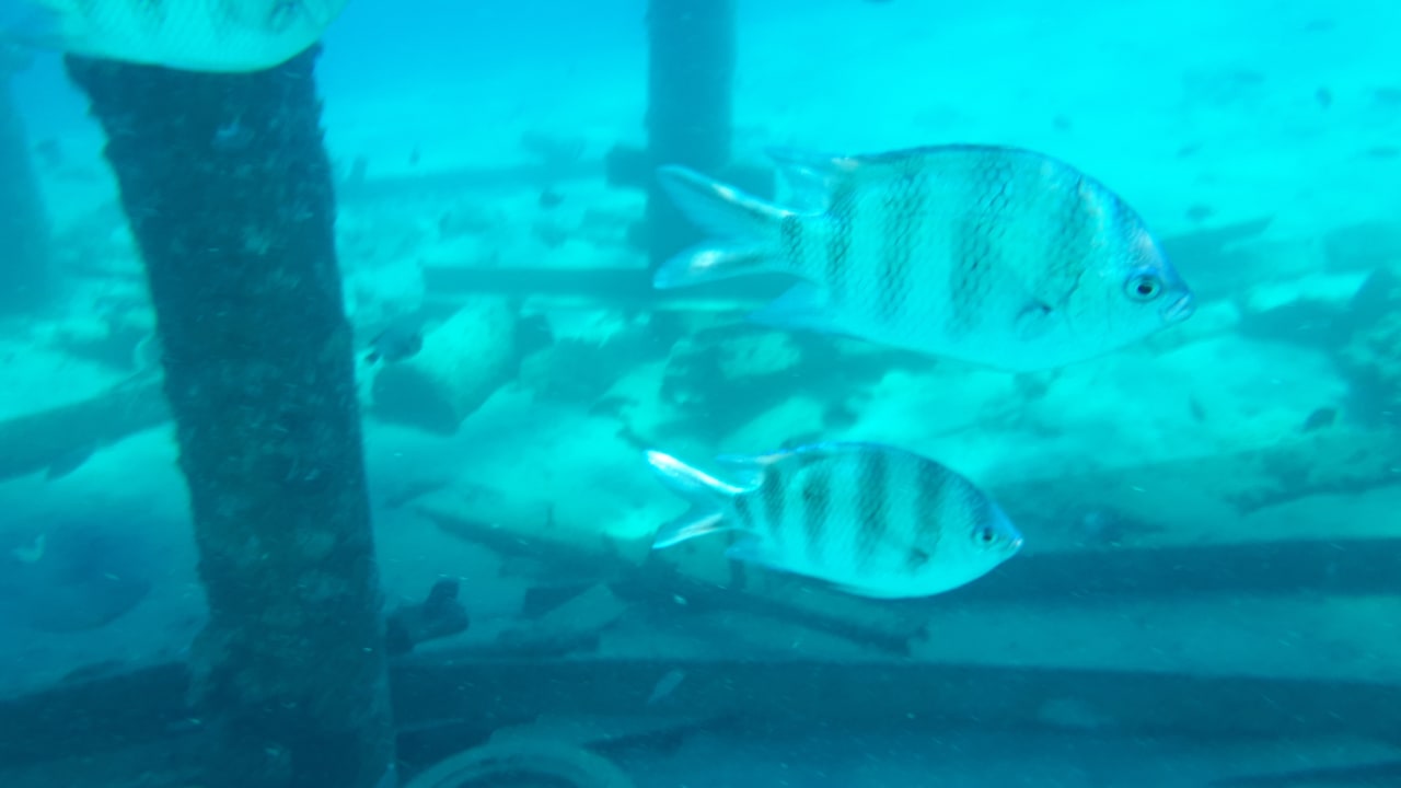 Strand Titanic Beach Spa & Aqua Park