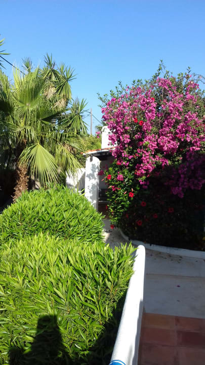 Außenansicht Cala Llenya Resort Ibiza