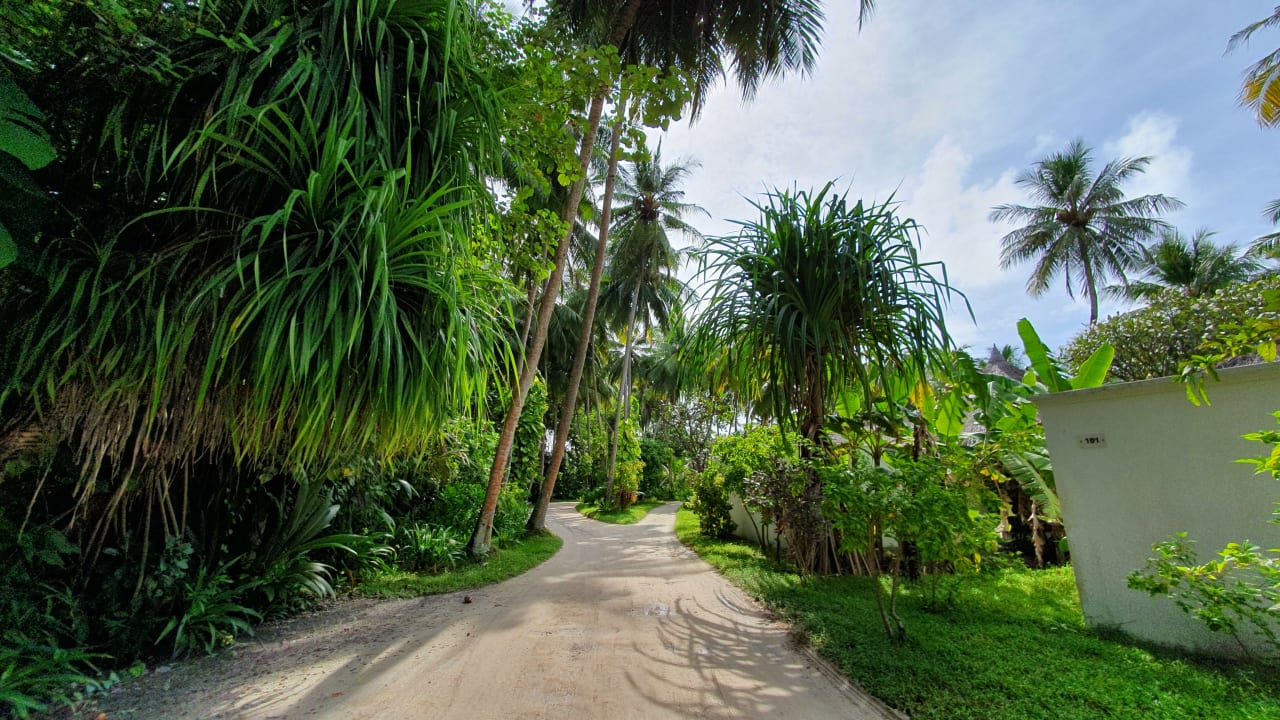 Gartenanlage Kuramathi Maldives