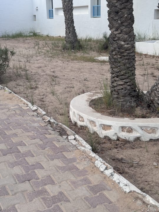 Gartenanlage Hotel El Mouradi Djerba Menzel