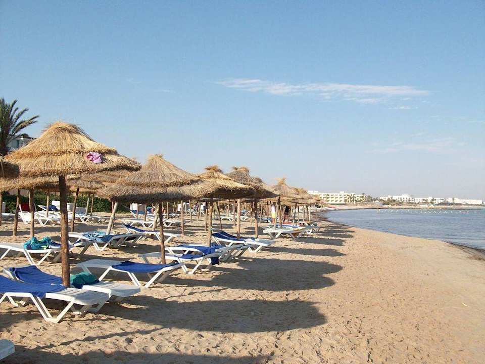 Beach Hotel Rosa Beach