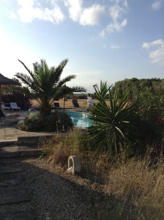 Vom Weg zum Pool aus fotografiert Fincas Castell Son Lladó