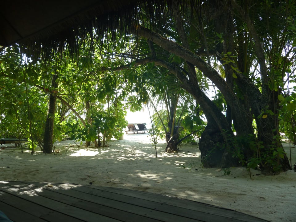 Strandbungi 306 Ausblick von der Terrasse Ellaidhoo Maldives by Cinnamon