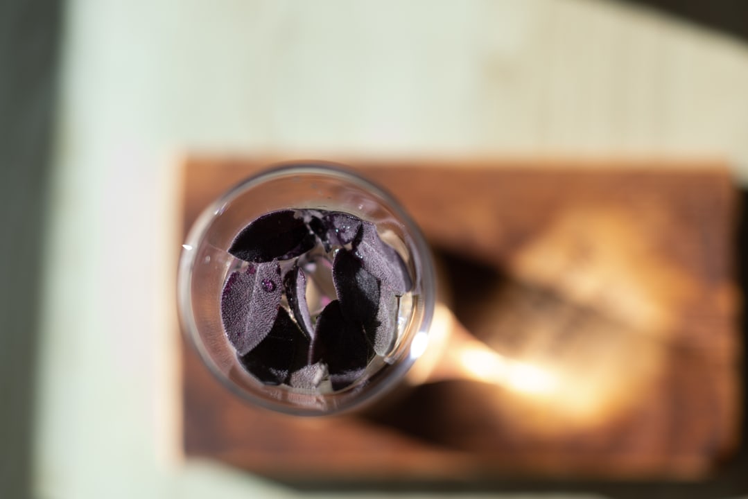 Zimmer Residence Walchhof