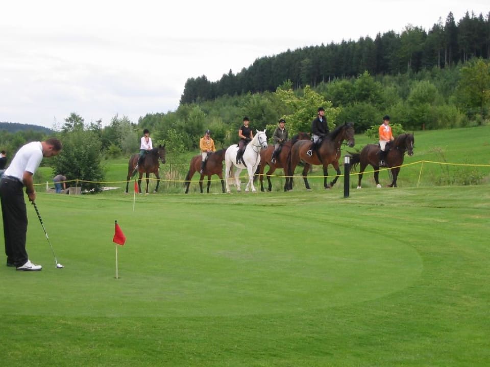 RobinsonClub Ampfwang: Ausritt Aldiana Club Ampflwang