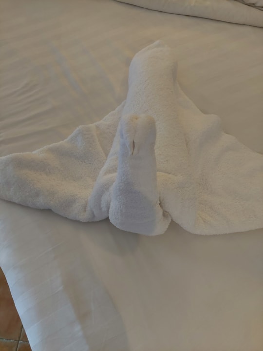 Zimmer Hotel Three Corners Ocean View prestige - Adults only