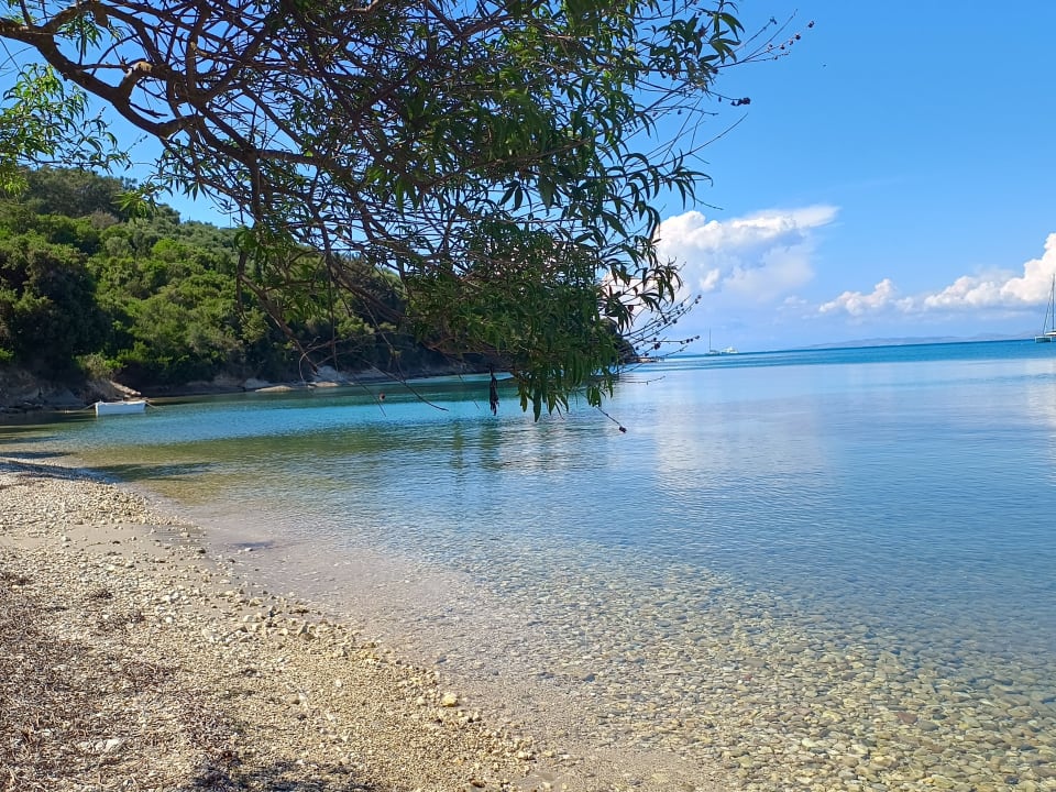 Sonstiges Hotel Albatros