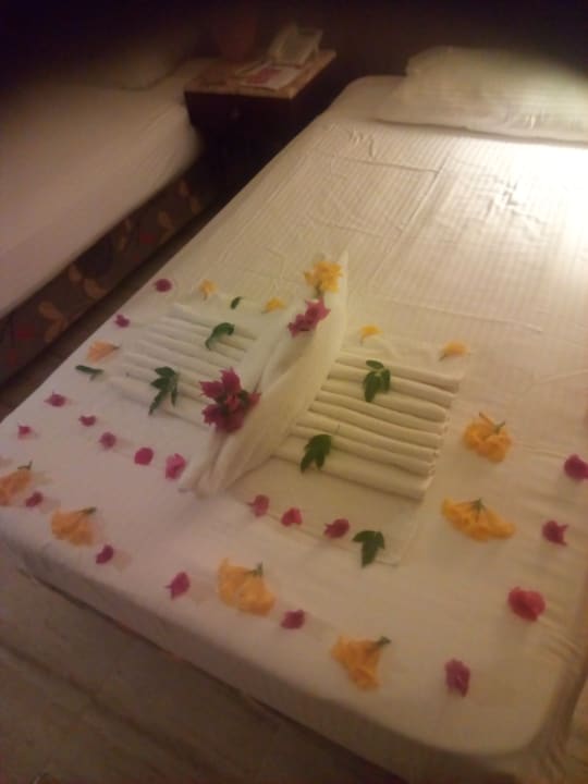 Zimmer Malikia Resort Abu Dabbab