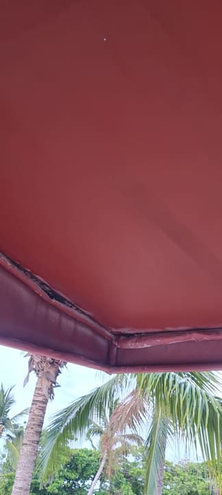 Zimmer Marien Puerto Plata