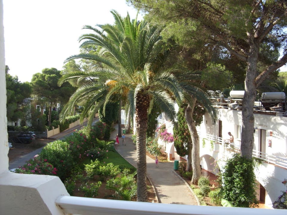 Vom Balkon - Blick auf die Anlage TUI MAGIC LIFE Cala Pada