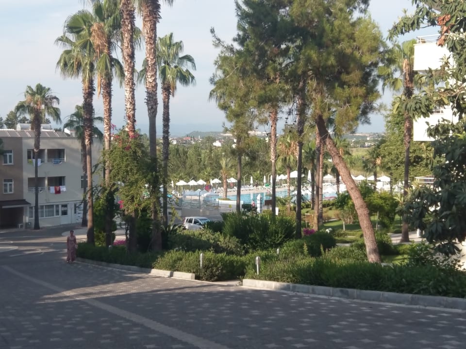 Pool Club Sidelya Hotel