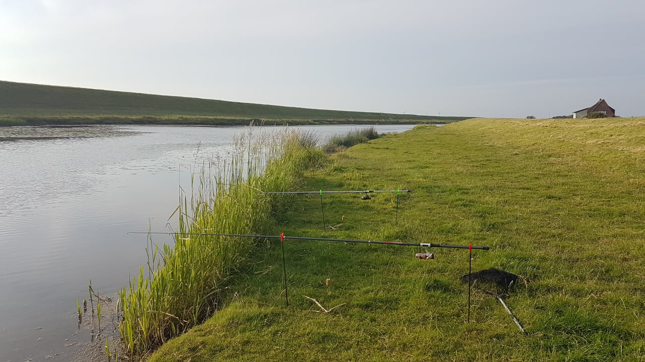 Ausblick Ferienhaus Hemenswarft direkt an der Nordsee mit Meerblick