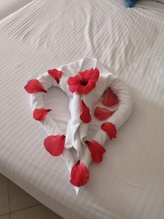 Zimmer Lazuli Hotel Marsa Alam