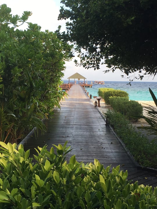 Gartenanlage Adaaran Select Meedhupparu Island Resort - Premium All Inclusive