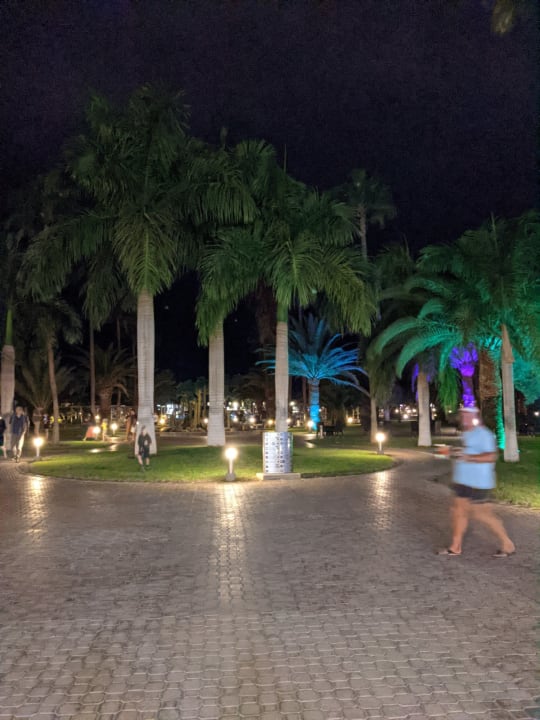 Gartenanlage Hotel Riu Gran Canaria