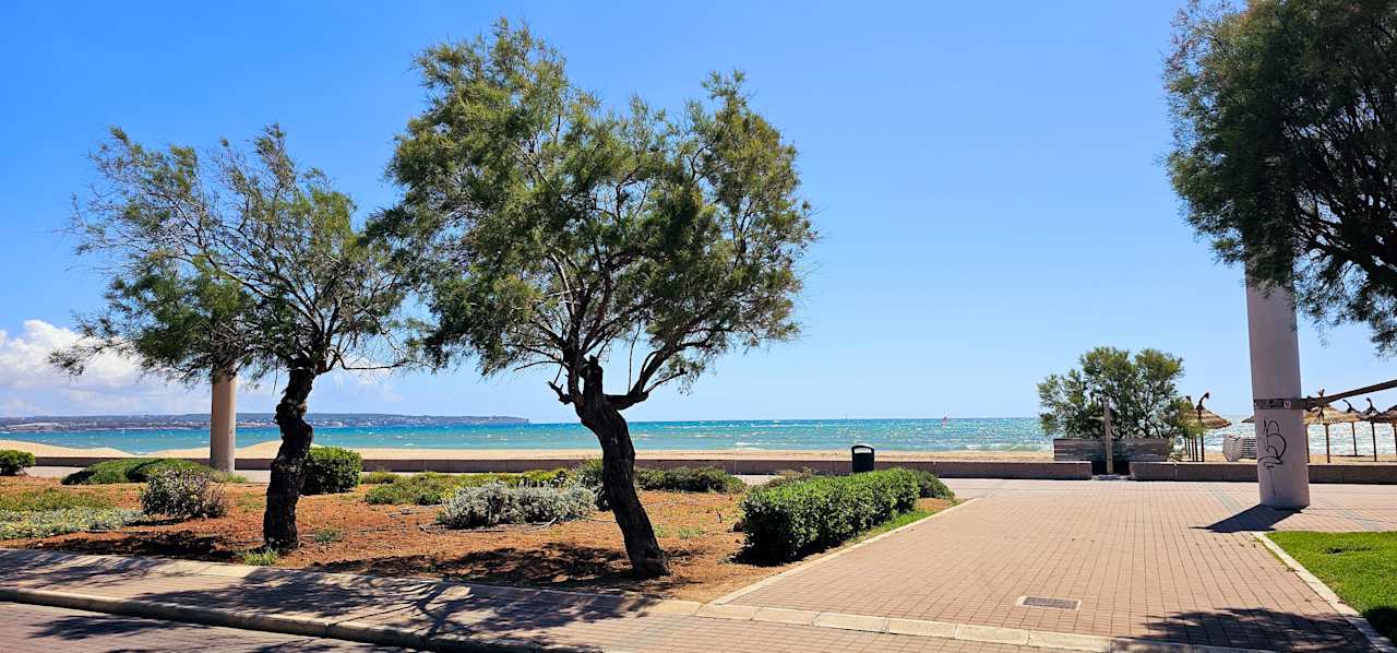 Strand Hotel Riu Festival