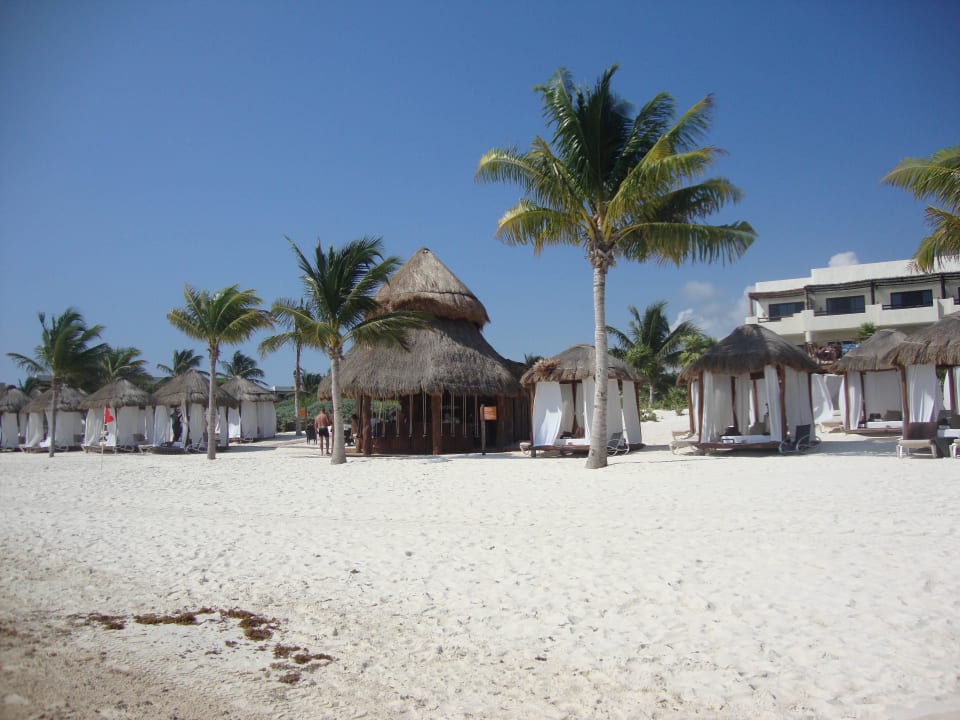 Hotel Catalonia Playa Maroma Catalonia Playa Maroma