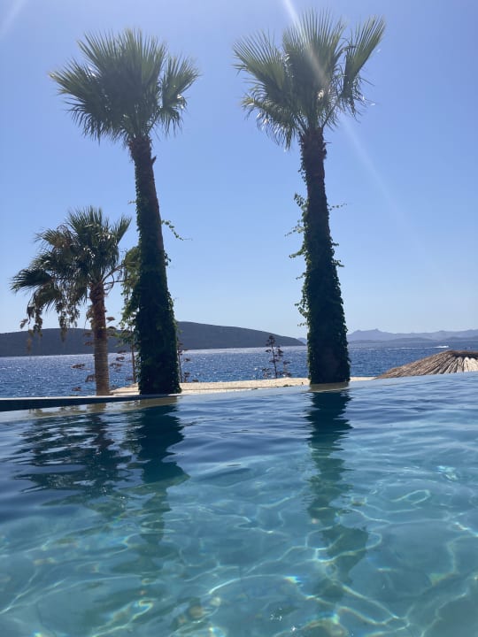 Pool TUI MAGIC LIFE Bodrum - Adult Only (16+)