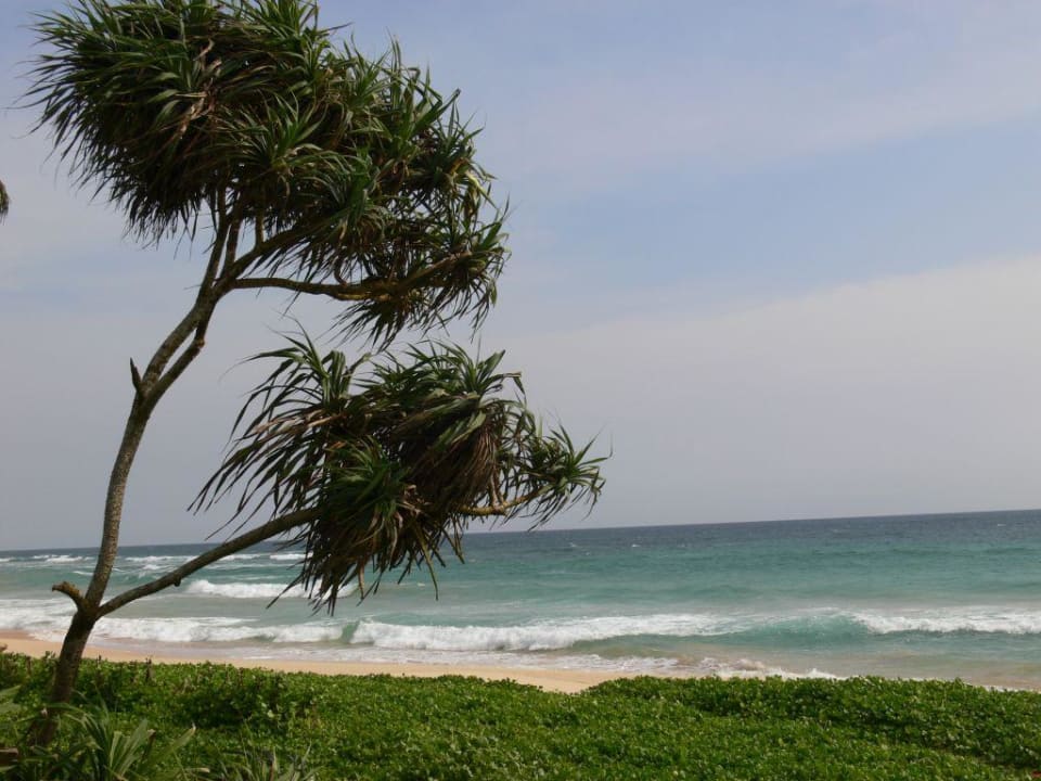 Hotelstrand Hotel Koggala Beach