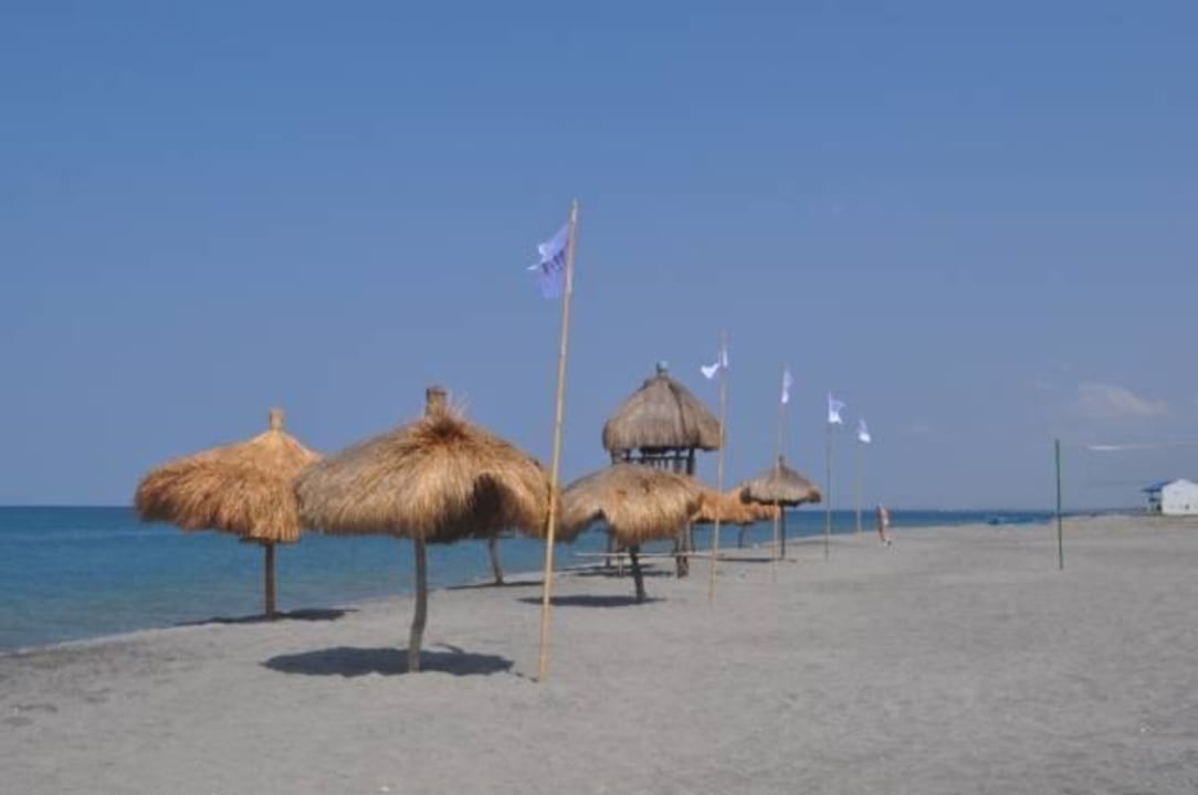 Einfach traumhaft & sauber Rama International Beach Resort