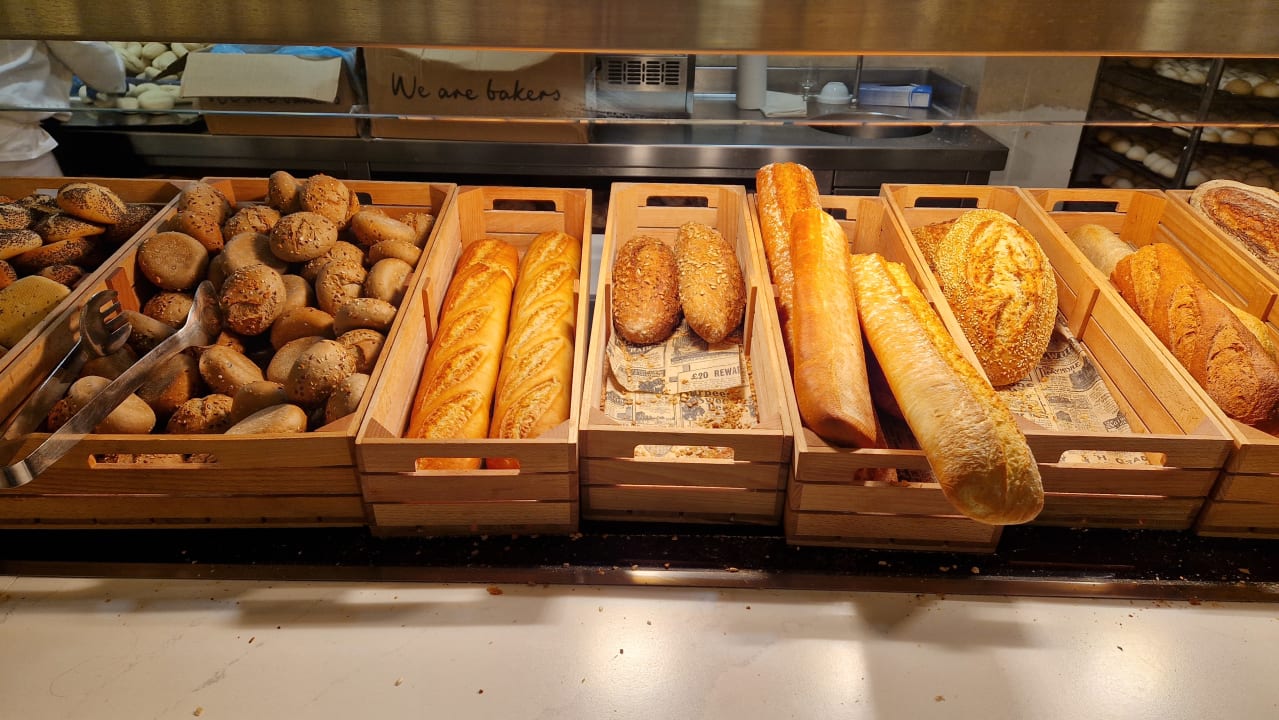 Gastro blau punta reina