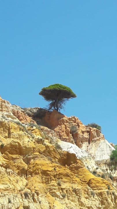 Strand 3HB Guaraná - All Inclusive