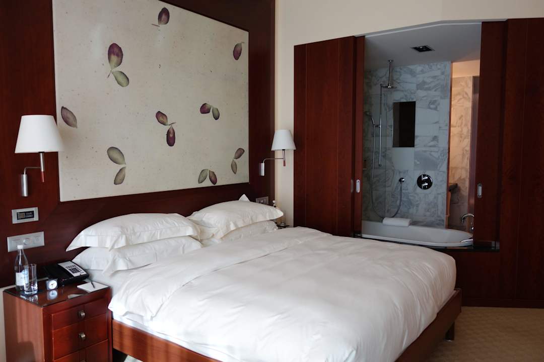 Park Hyatt Zürich Hotel Park Hyatt Zürich