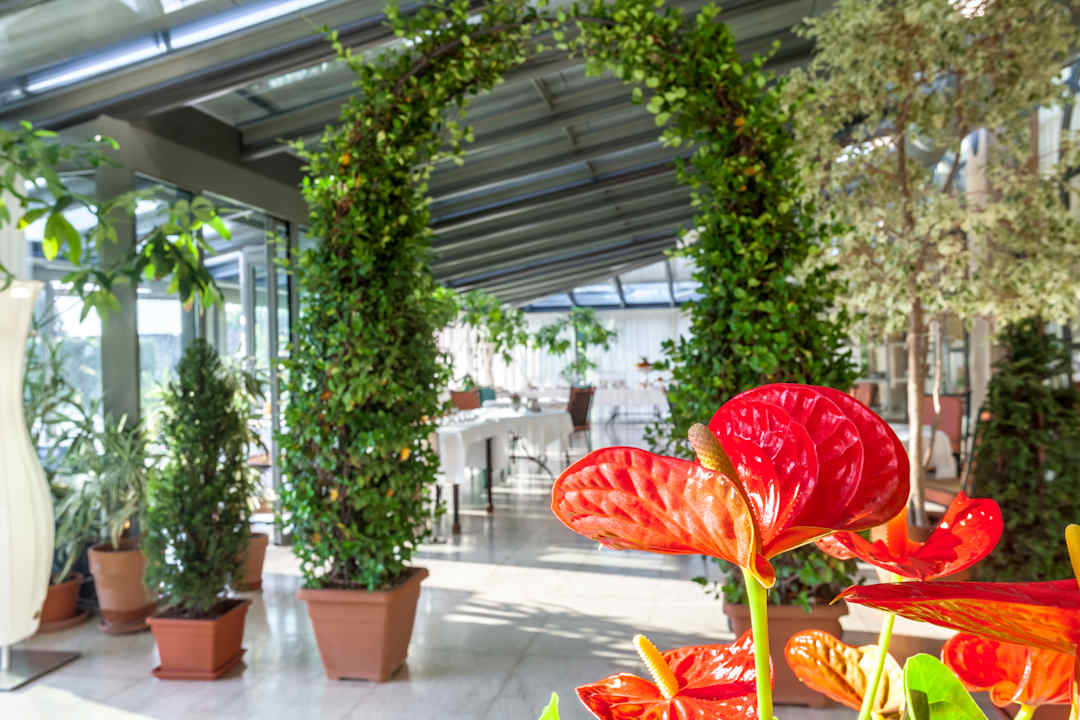 Sonstiges Hotel Villa Del Quar