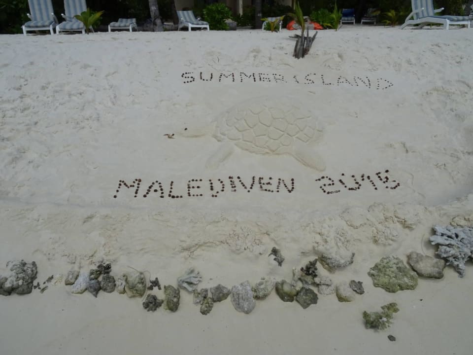 Strand Summer Island Maldives