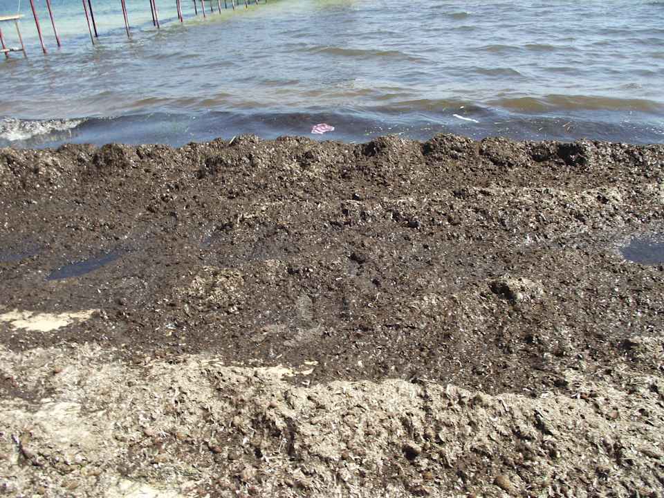 Nicht zu fassen Alassio Hotel and Thalasso