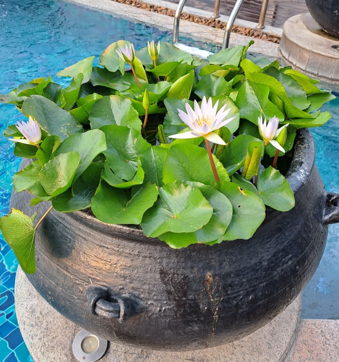 Sontiges Hotel Banyan Tree Bangkok