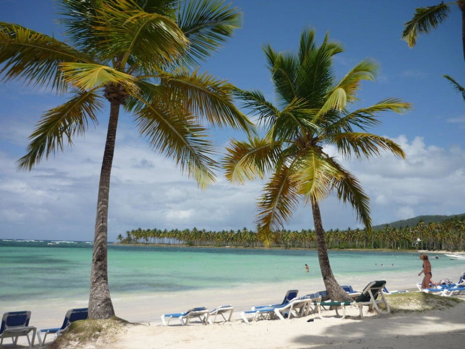 Palmen  Wyndham Alltra Samana