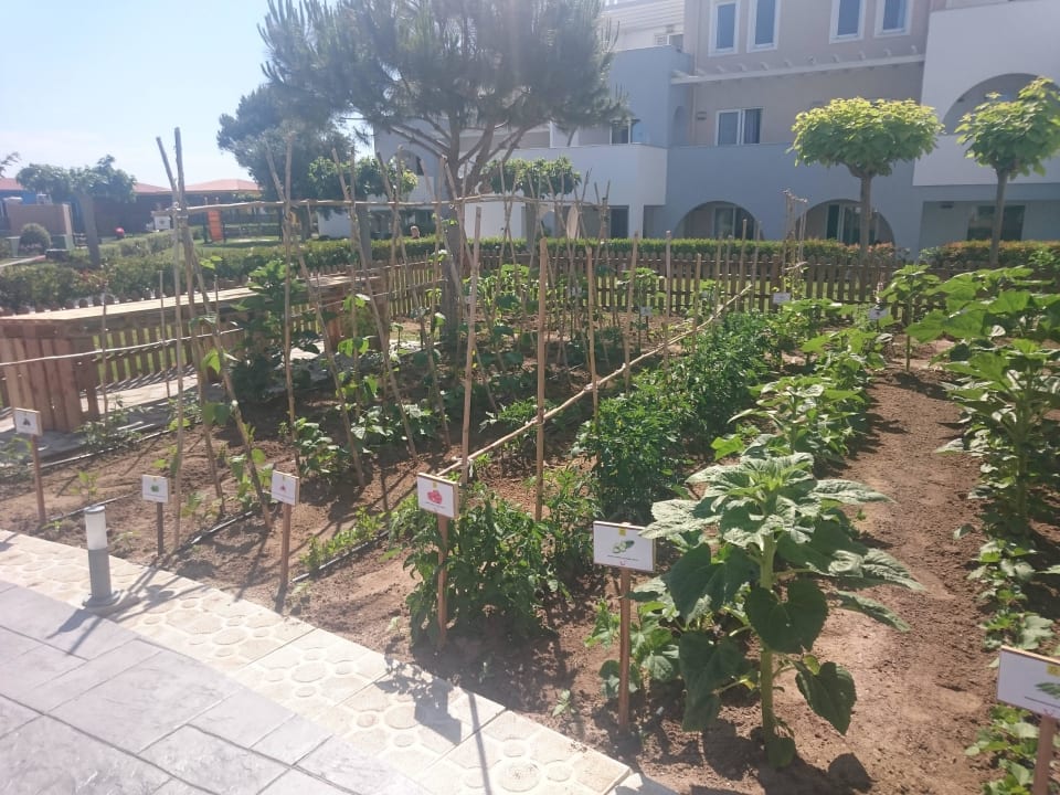 Gemüsegarten Atlantica Marmari Palace