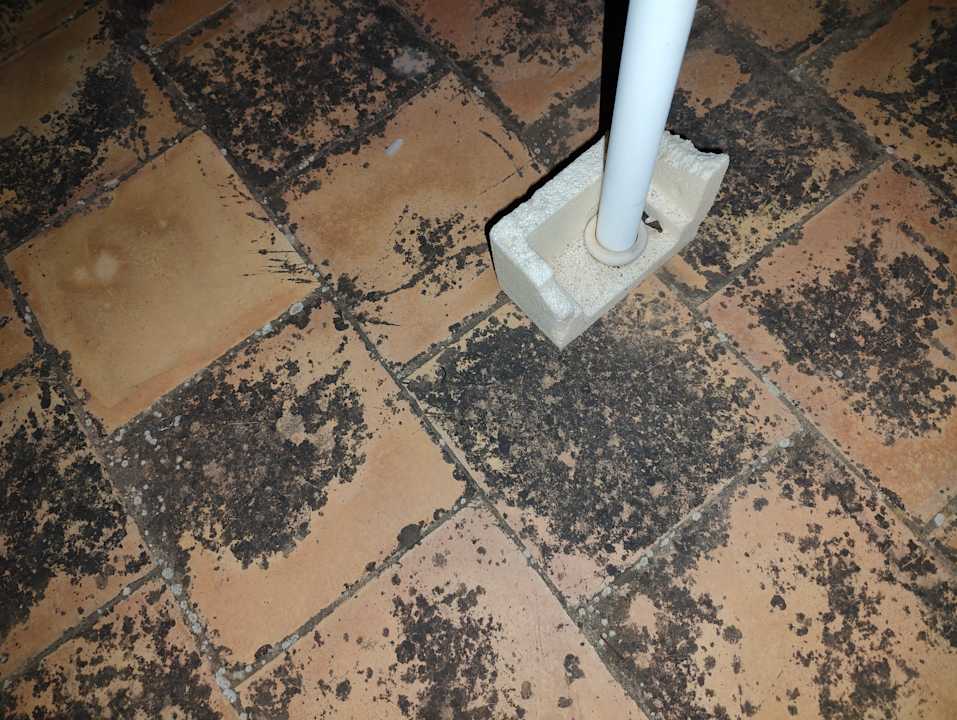 Außenansicht LoftOtel Canet