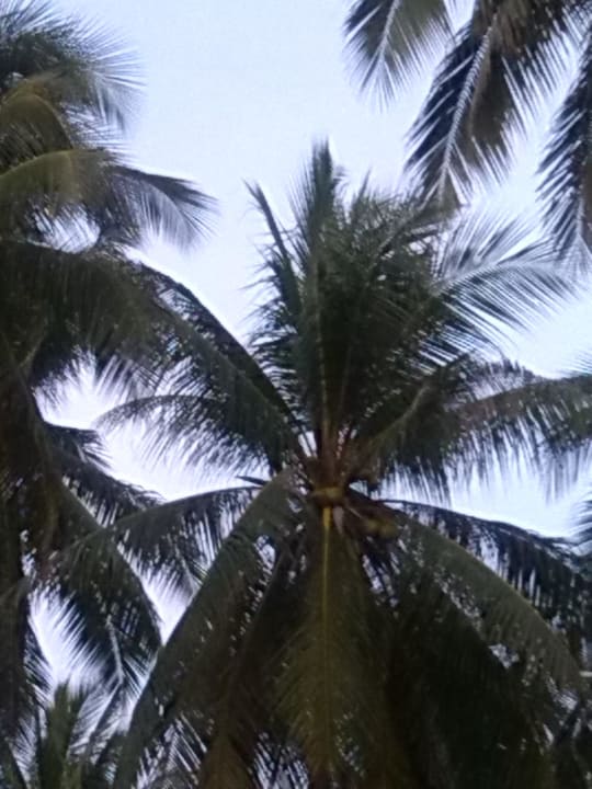 Garten Baan I Talay Resort