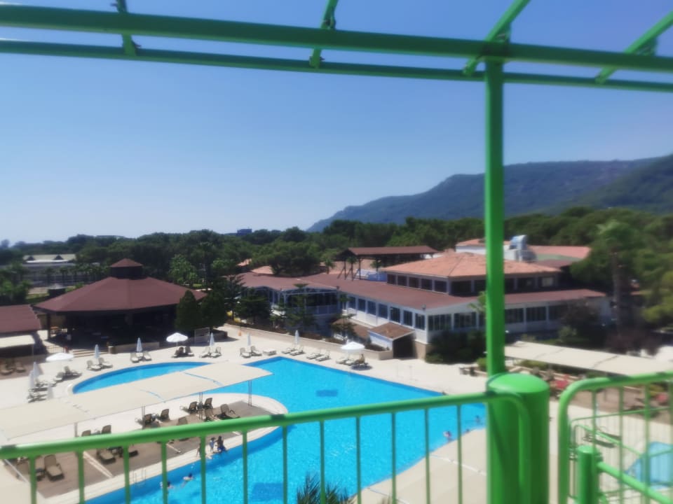 Pool Crystal Flora Pearl Collection