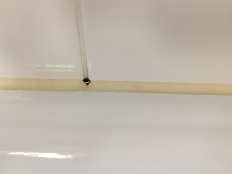 Schimmel am Silikon The Rilano Hotel Stuttgart Böblingen