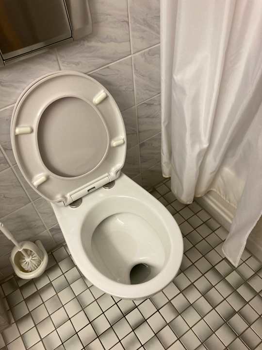 Zimmer Best Western Parkhotel Brehna - Halle